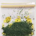 ひまわり⭐️⭐️'s cooksnap of when they made 大量消費!まとめて便利パセリのみじん切り.