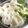 ♡マッキークッキング's cooksnap of when they made 鯛のあら煮で・鯛そうめん.