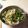 クック9LMJA3☆'s cooksnap of when they made 大根と水菜のサラダ.