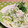 みっくママ's cooksnap of when they made 胡瓜とみょうがのわさびマヨ和え♪.