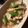 あゆきち５９３'s cooksnap of when they made 筍とスナップエンドウのオイバタ炒め.