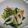 fu♪♪'s cooksnap of when they made 簡単！ちくわとほうれん草のナムル.