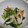 fu♪♪'s cooksnap of when they made 簡単！ちくわとほうれん草のナムル.