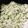 クック9FYCIT☆'s cooksnap of when they made かんたん美味しい母のせりごはん.