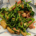 檸檬パン's cooksnap of when they made 豆苗とベーコンの簡単炒め.