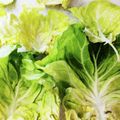 てなこて's cooksnap of when they made 簡単！１枚むき！ロールキャベツにも！.