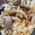 ズッキーーニ's cooksnap of when they made キノコたっぷり あんかけチャーハン.