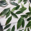 けろすけたん's cooksnap of when they made 乾燥ローリエの作り方☆レンジで超簡単♥.