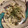 ピーナッツ子♪'s cooksnap of when they made 牡蠣のアヒージョ♪.