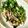 クックKｍ☆'s cooksnap of when they made ご飯がすすむ！鶏ももと茄子の照り焼き.
