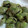 クックFCCUK6☆'s cooksnap of when they made 簡単！そら豆の素揚げ、切込ナシ.