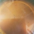 スミエ・M's cooksnap of when they made ねぎ油　の作り方.