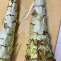 ✨ふみたろう✨'s cooksnap of when they made 中国野菜と卵炒め(ステムレタス).