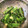 ぎんのじママ's cooksnap of when they made ほうれん草とオクラのごま和え.