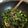 クック06PLR3☆'s cooksnap of when they made ひじきとにらの炒めもの.