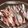 うにのあ1105's cooksnap of when they made いわしのお刺身～おろし方.