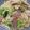 おりょう（＾−＾）'s cooksnap of when they made ウインナーとほうれん草のクリームパスタ.