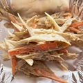 。かのこ。's cooksnap of when they made *..+.デパ地下風..*ごぼうサラダ！.