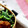 ガメコ's cooksnap of when they made めんつゆで簡単ほうれん草の胡麻和え.