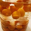クックCNZGFQ☆'s cooksnap of when they made 金柑酒.