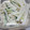 クックTTMYCD☆'s cooksnap of when they made 大根とカニカマと胡瓜の和風シーザー風和え.
