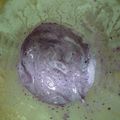 みずたぬき's cooksnap of when they made ブルーベリーの☆ヨーグルトバニラアイス.