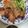 precious☆'s cooksnap of when they made 超簡単！厚めの豚バラ肉のサムギョプサル！.