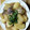 プルンバゴ's cooksnap of when they made 超簡単!鯖缶with大根とじゃが芋の煮物.