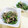 ＠迷子＠'s cooksnap of when they made 簡単♪えのきとピーマンの甘辛しょうゆ炒め.