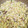 かなりん☆'s cooksnap of when they made 冷凍むきエビで簡単！エビ炒飯.