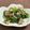 まっちぃなー's cooksnap of when they made ほうれん草のベーコン舞茸ガーリックあえ.