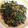 ♬あじさいのレシピ♬'s cooksnap of when they made ニラと挽き肉炒め（丼）.