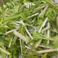 まゆのふ♬'s cooksnap of when they made 水菜のナムル風♪.