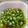 つくしS's cooksnap of when they made 止まらない！オクラのダシ醤油漬け♪.