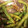 クックS5N2AF☆'s cooksnap of when they made いんげんの胡麻和え.