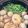 りうりう＊'s cooksnap of when they made 里芋とベーコンの煮物.
