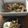 クックT5PCGR☆'s cooksnap of when they made あま酒入り自家製グラノーラ.
