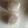 クックR77HYO☆'s cooksnap of when they made 超簡単☆基本中の基本♪究極の塩むすび♫.