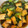 hana8796's cooksnap of when they made 厚揚げとチンゲンサイの中華煮.