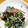 はちみつlove's cooksnap of when they made ほうれん草の海苔和え.