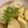 ゆっくん1129's cooksnap of when they made 春❀たけのこと鶏だんごの煮物.