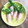 」りふ's cooksnap of when they made かいわれをハムで巻いただけ～♪.