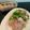 shinxian's cooksnap of when they made パテ・ド・カンパーニュ＊ポーク・テリーヌ.
