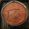 ひよ太's cooksnap of when they made 濃厚☆ガトーショコラ.
