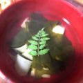 くうandホームズ's cooksnap of when they made 若竹汁♪.