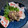 マミ大臣's cooksnap of when they made かつおのねぎ塩なめろう.