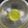 クック49L4Ho☆'s cooksnap of when they made さっぱり、爽やかレモンソース！.