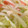 s06007's cooksnap of when they made もやしときゅうりのカニカマ炒め.