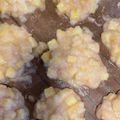 きおら+-22's cooksnap of when they made 究極の鬼まんじゅう.