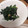 ういき☆彡's cooksnap of when they made レンジで簡単1品☆ほうれん草と塩昆布.